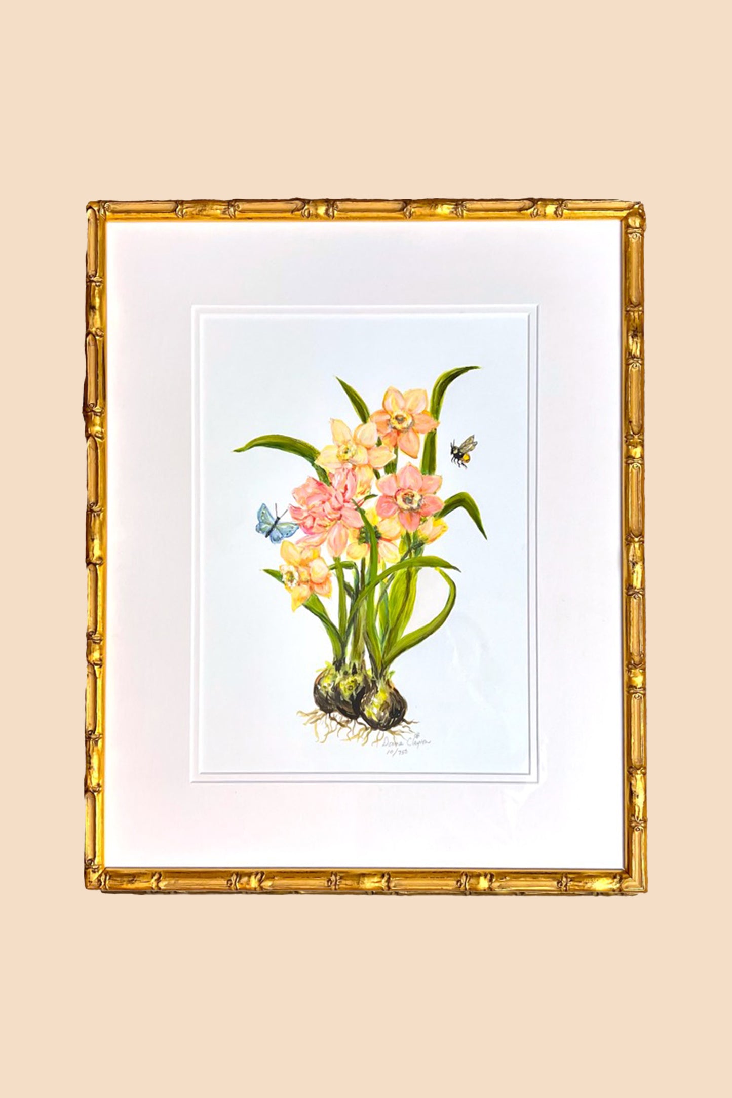 Daffodil Framed Art Print