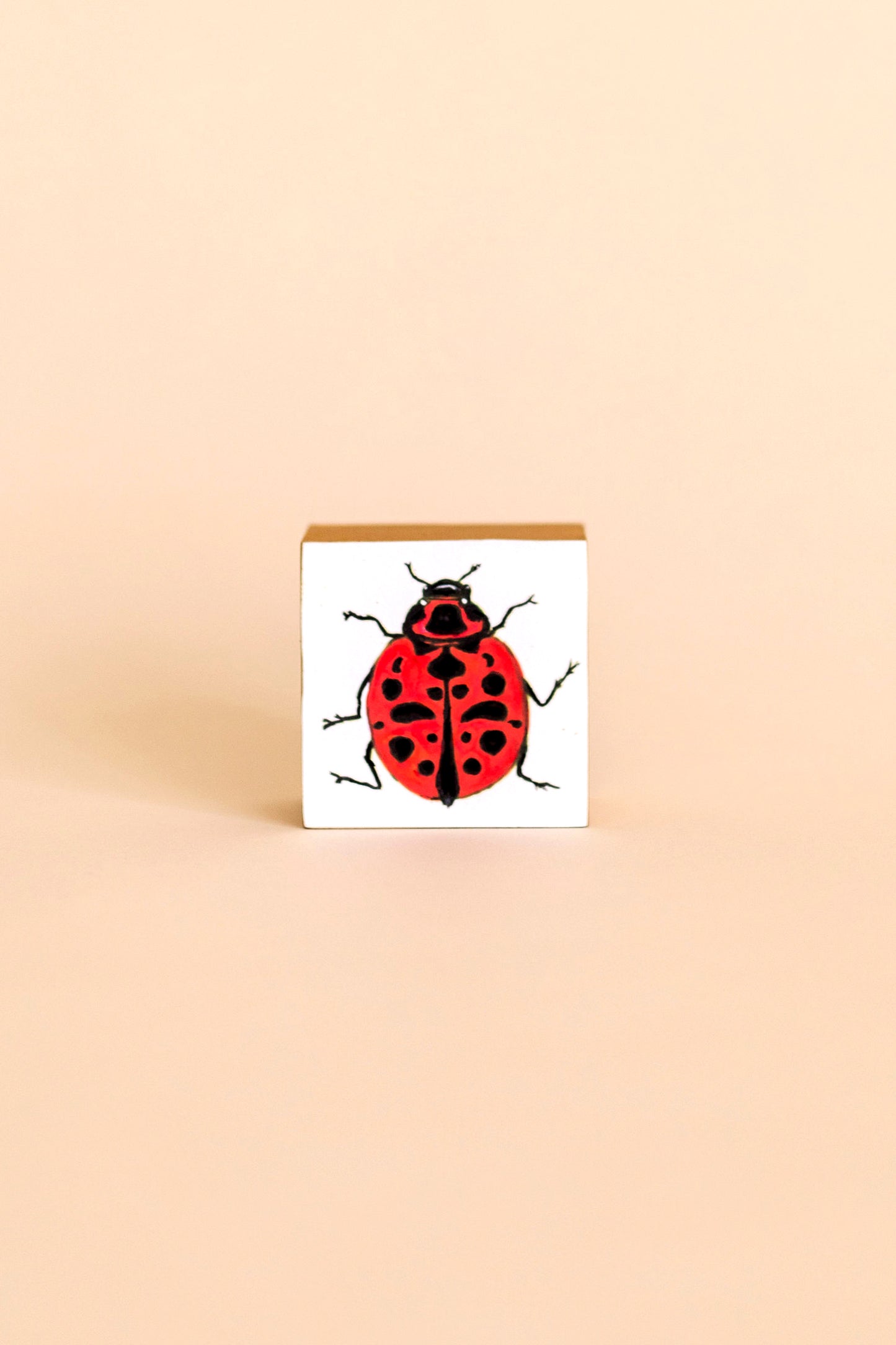 Lady Bug 3" Block