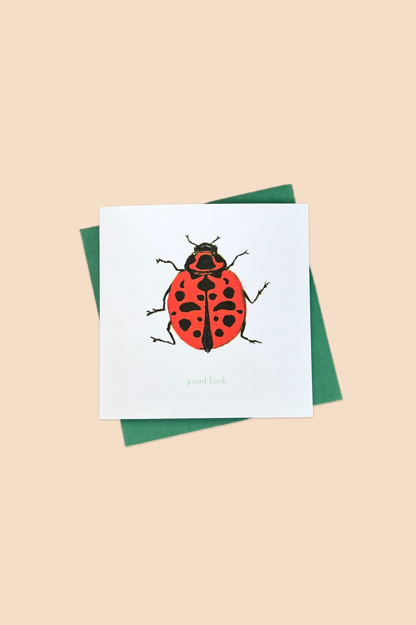 Ladybug Card