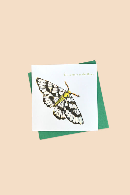 Leopard Moth Card