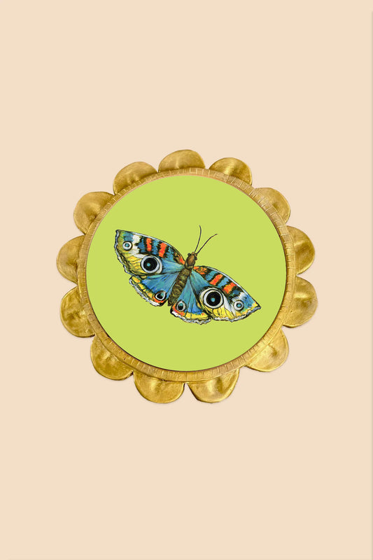 Six Eye Moth with Ceramic Flower Petal Frame