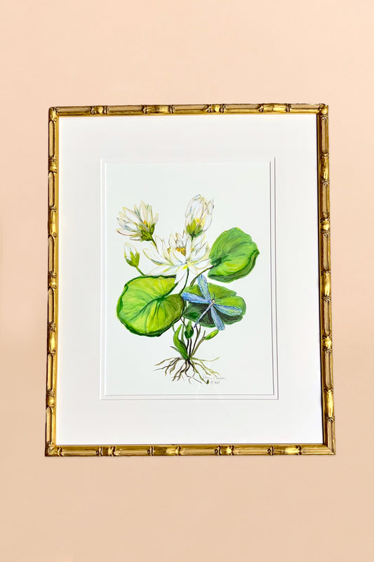 Water Lily & Dragonfly Framed Art Print